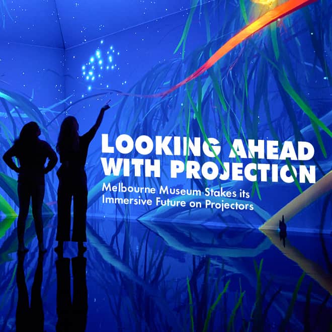 Issue 14: Looking Ahead with Projection